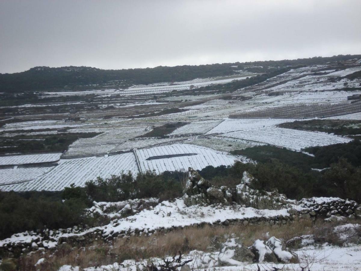 Vila Dammuso Ziloto Tracino Exteriér fotografie